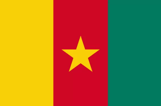 Perfect Money Cameroon